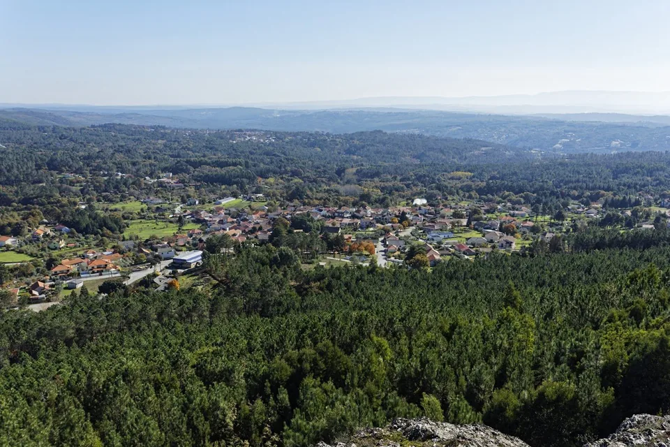 Povoação de telhados de barro no meio do pinhal, vista de um cabeço rochoso, na freguesia de Côta