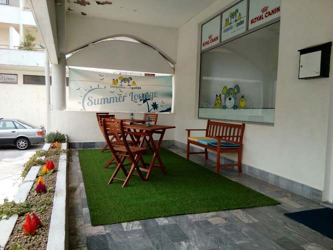 Clínica Veterinária Companhia de 4 Patas