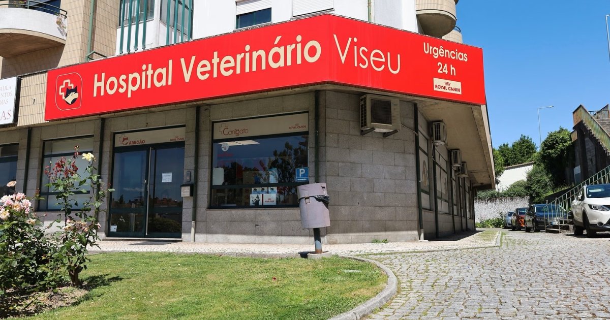 HVV - Hospital Veterinário de Viseu