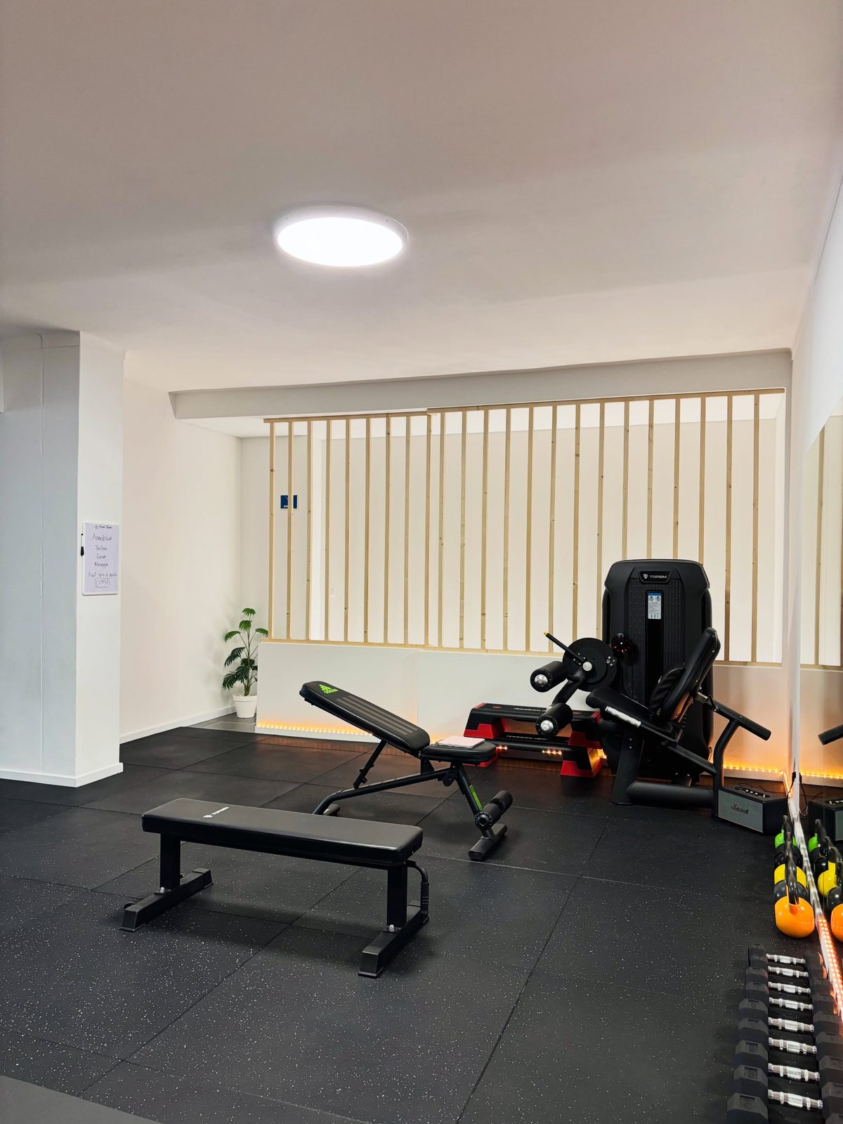 MS Fitness Studio, foto 4 de 7