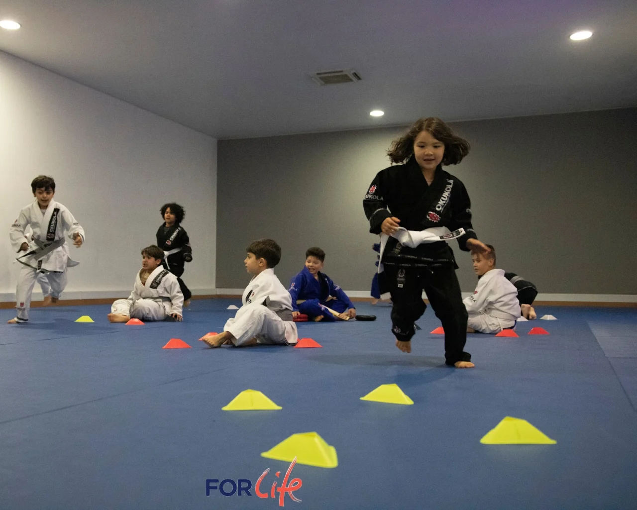 Imperium 22 Jiu-Jitsu Viseu