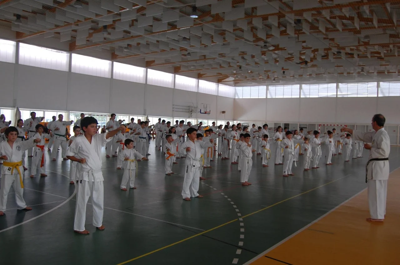 Karaté de Okinawa Goju-Ryu Shodokan