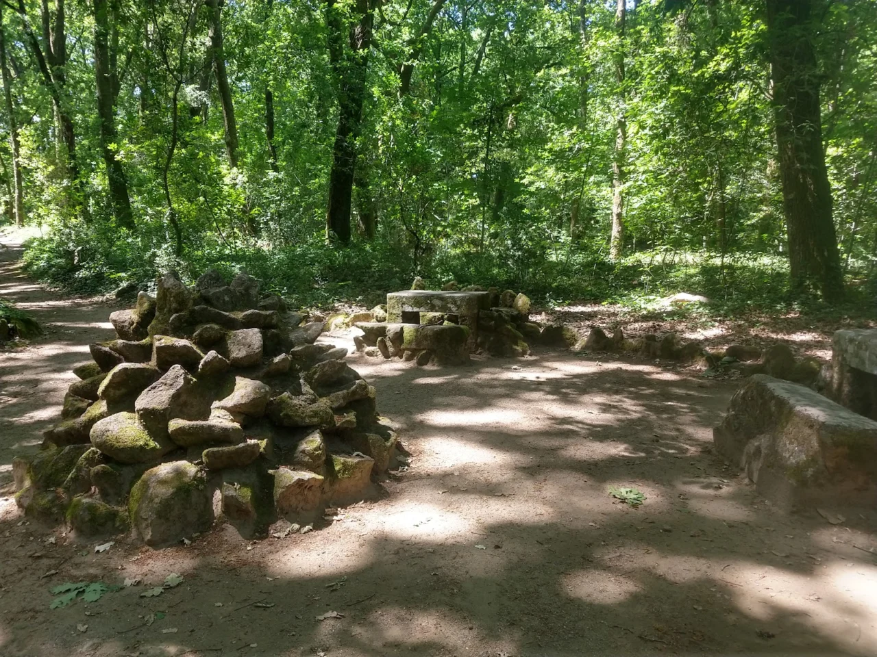 Mata do Fontelo