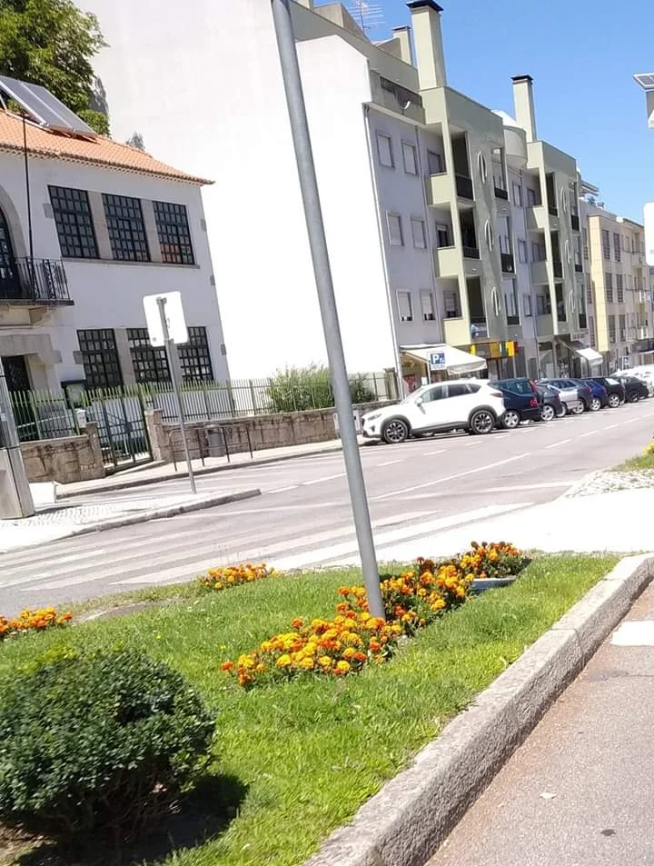 Escola Básica da Avenida
