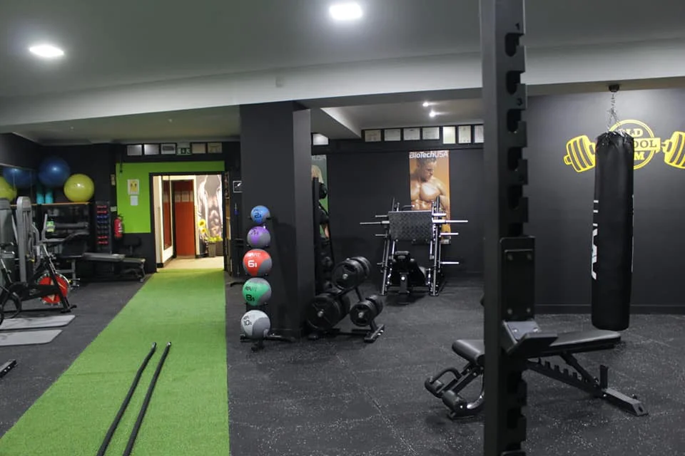 LifeFitness - Old School Gym